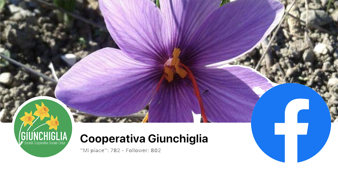 Facebook sito Giunchiglia
