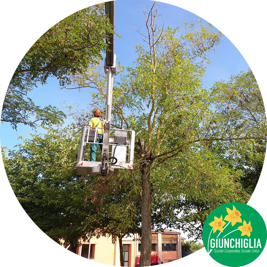 Giardinaggio a Parma- Verde pubblico - Coop Giunghiglia