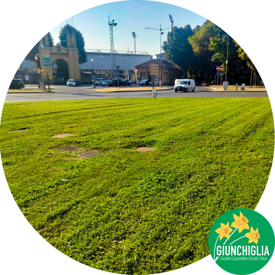Giardinaggio a Parma - Verde pubblico - Coop Giunghiglia
