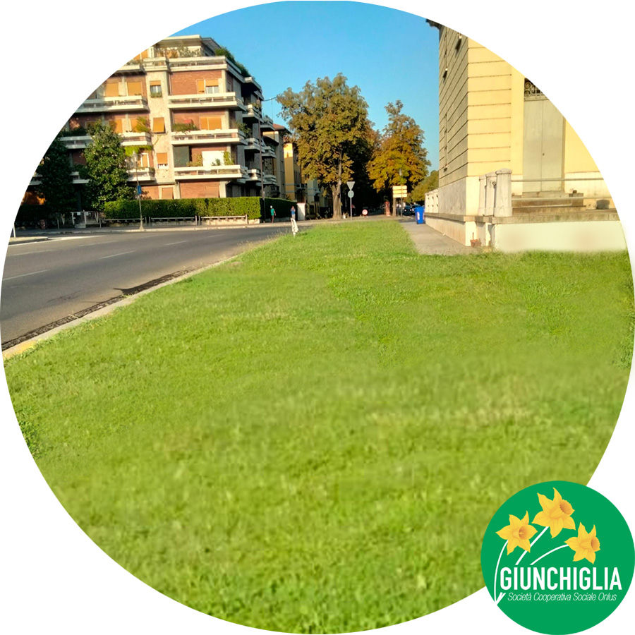 Giardinaggio a Parma - Verde pubblico - Coop Giunghiglia