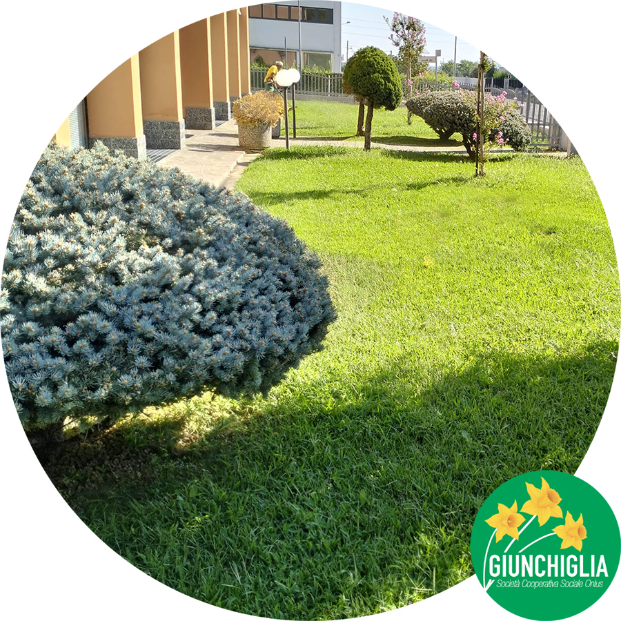 Giardinieri a Parma - verde privato e aziendale