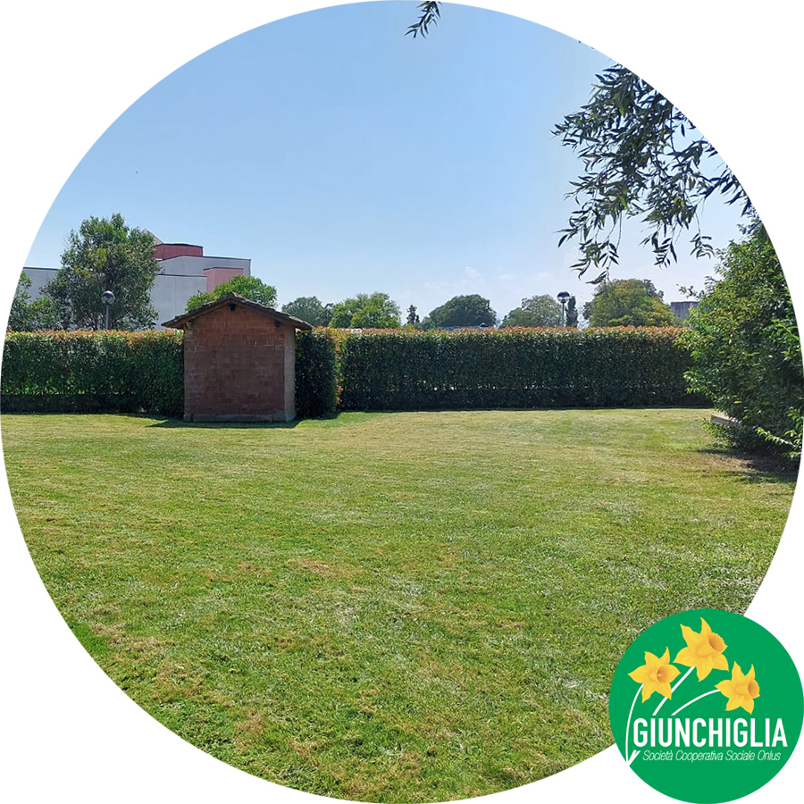 Manutenzione del verde a Parma - giardini condominiali-Giunchiglia