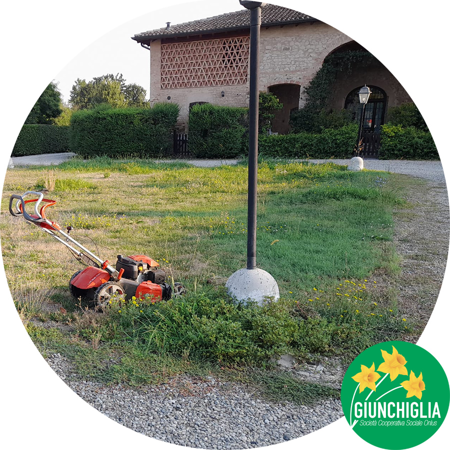 Manutenzione del verde a Parma - giardini condominiali-Giunchiglia