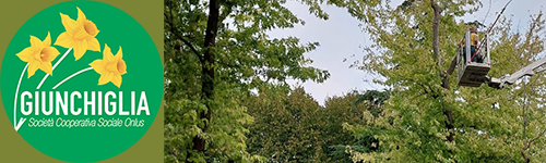 Giardinaggio Giunchiglia - Potatura alberi