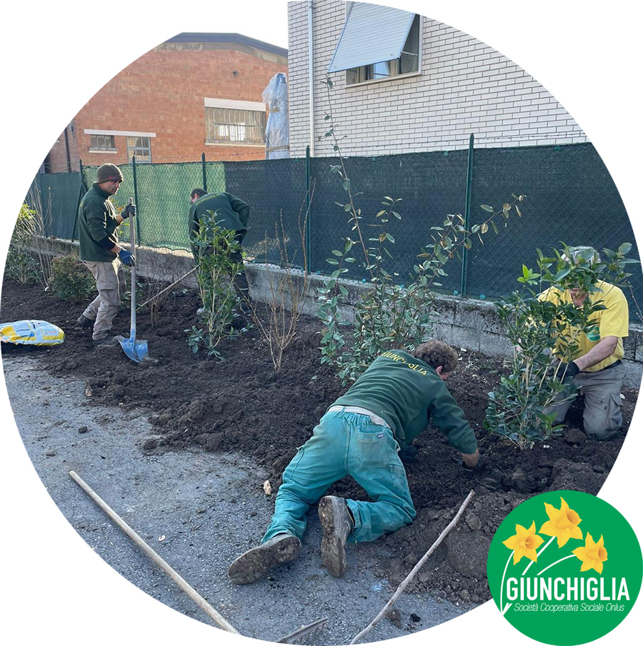 Giardinaggio a Parma - Verde pubblico - Coop Giunghiglia