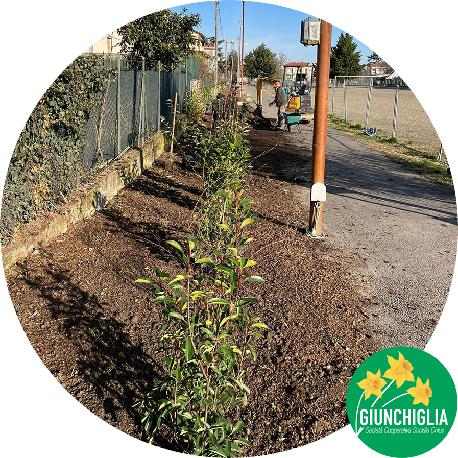 Giardinaggio a Parma - Verde pubblico - Coop Giunghiglia 