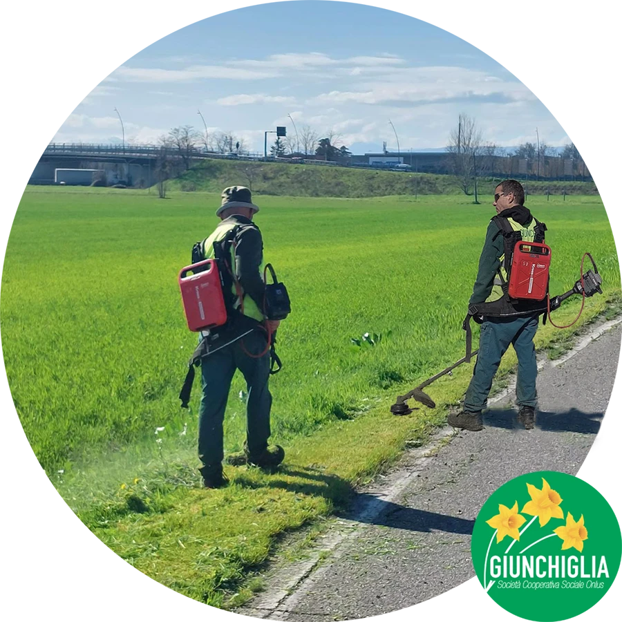 Giunchiglia con i Decespugliatori green a batteria-2 Giunchiglia con i Decespugliatori green a batteria